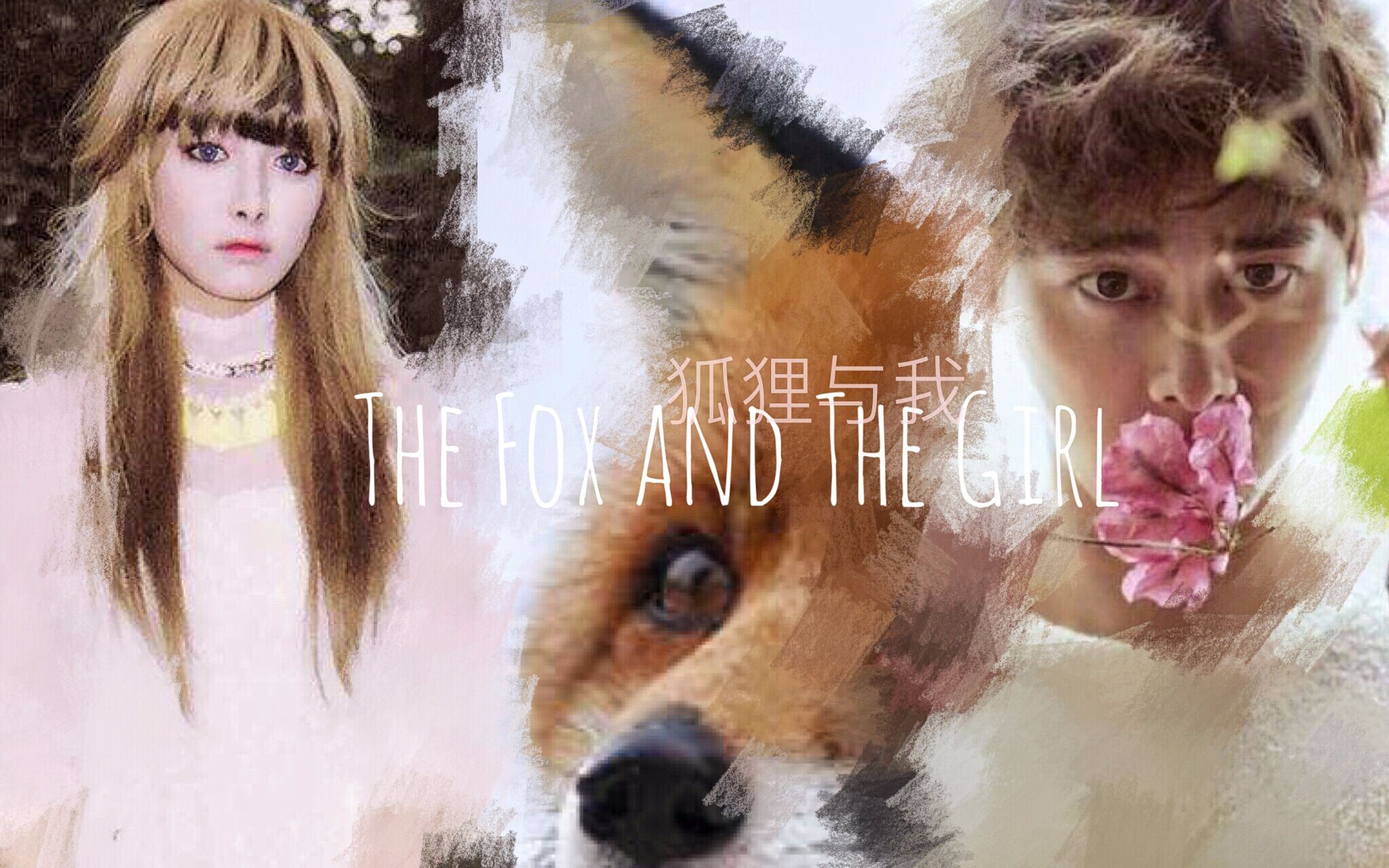 【李易峰X宋茜】The Fox and The Girl 狐狸与我(温暖治愈向)哔哩哔哩bilibili