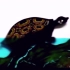湖南皮影戏-Turtle and Crane龟与鹤-音乐创作：王紫薇，视频提供：湖南省木偶皮影艺术保护传承中心