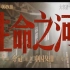 《夺冠》中国女排-主题曲-王菲那英合唱-听得我热泪盈眶