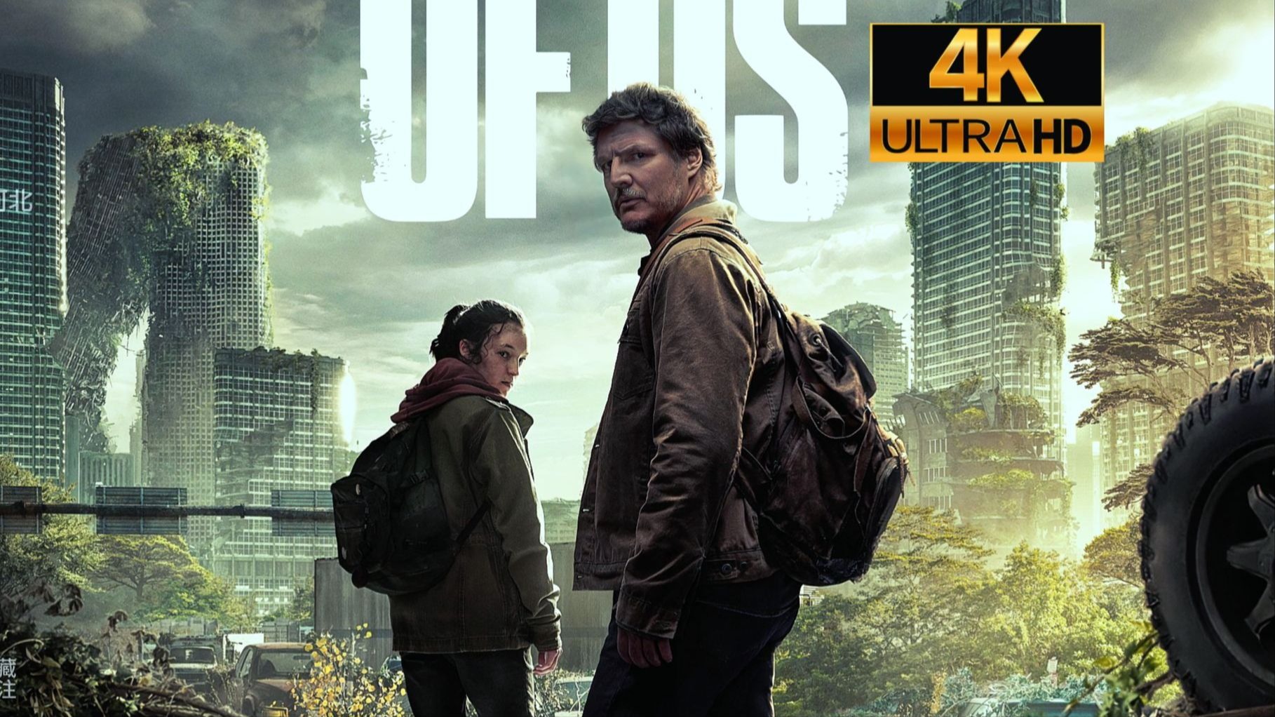 超清《最后生还者》全16集 完整版