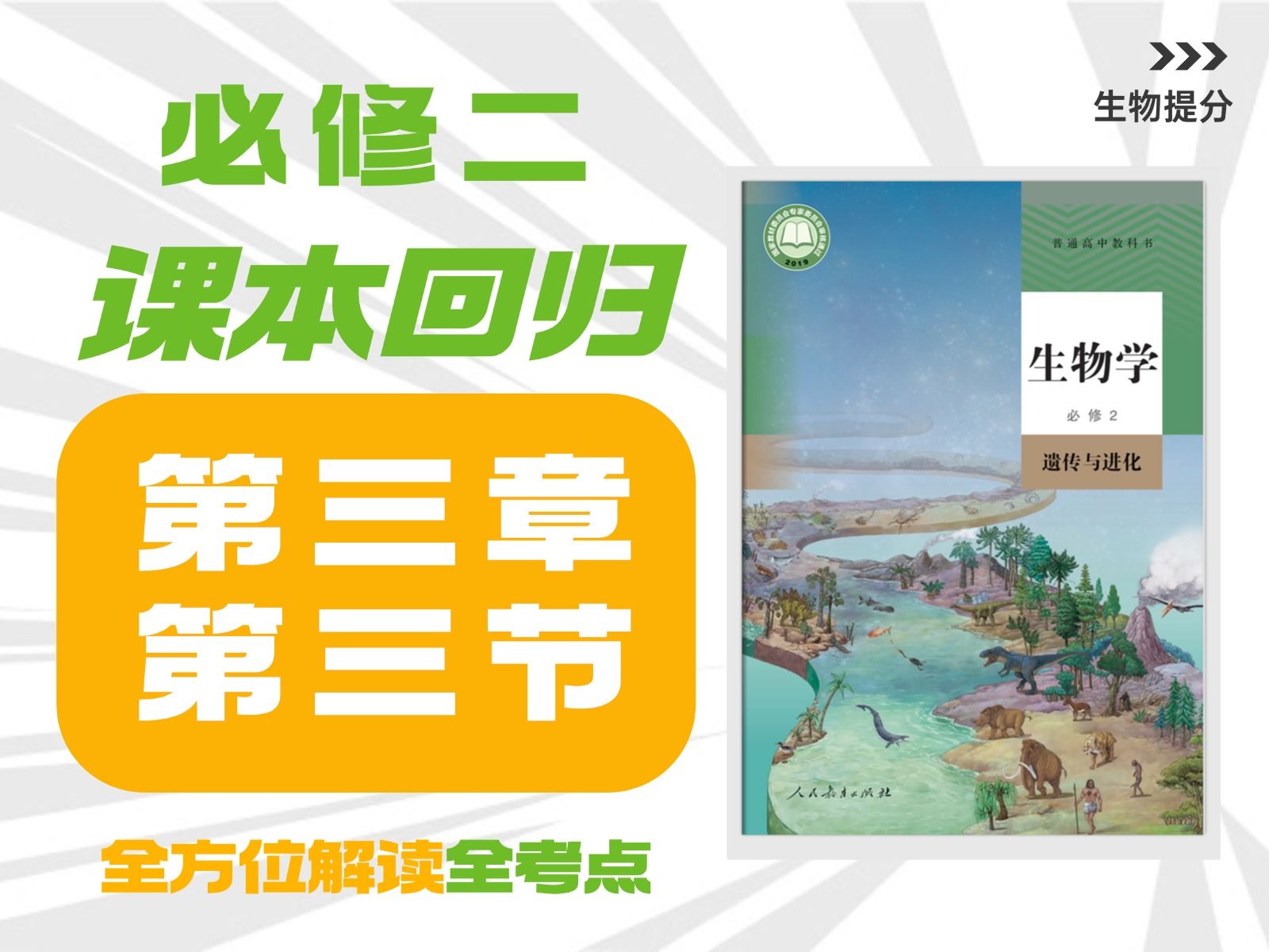 【高中生物课本回归】必修二 第3章 第3节 DNA 的复制