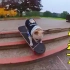 滑板狗滑板飞起来了！