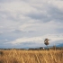 空镜头视频素材 秋季秋日农村风力发电机 素材分享