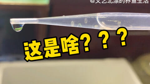 3e3cb122d1334299a3913967b3f3be19c96ed9ff.jpg@480w_270h_1c