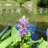 乐享山水趣，安全登山行