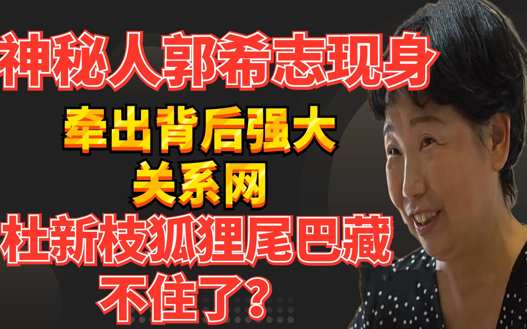 神秘人郭希志现身,牵出背后强大关系网,杜新枝狐狸尾巴藏不住了哔哩哔哩bilibili