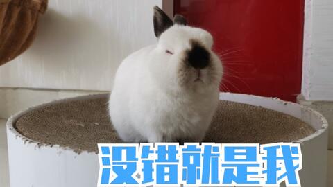 3e8d40fe7e522d5501e3e1cc578ff4f3572b180e.jpg@480w_270h_1c