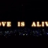 モーニング娘。2002春~LOVE IS ALIVE!~
