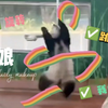 第一期｜空中瑜伽最强翻跳——广州动物园雅一宝宝翻跳舞娘