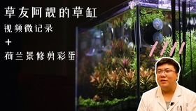 3e9a66d6396e2dad9ba0cd977e278e356cfb7c28.jpg@280w_158h_1c_100q.jpg