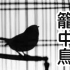 日本童謠-籠中鳥かごめかごめ【米娜朗讀】