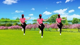 梦中的兰花花二胡曲谱_梦中的兰花花二胡简谱(3)