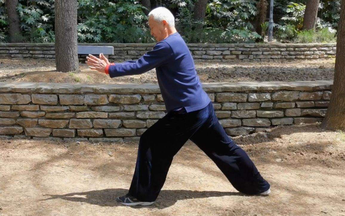 合肥心意六合拳名家张宁卫老师详解心意十大形虎形，心意拳爱好者必看！