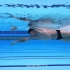游泳欣赏：最轻松的100米自由泳放松游？