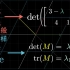 【官方双语】计算二阶矩阵特征值的妙计 -- 线性代数的本质 13