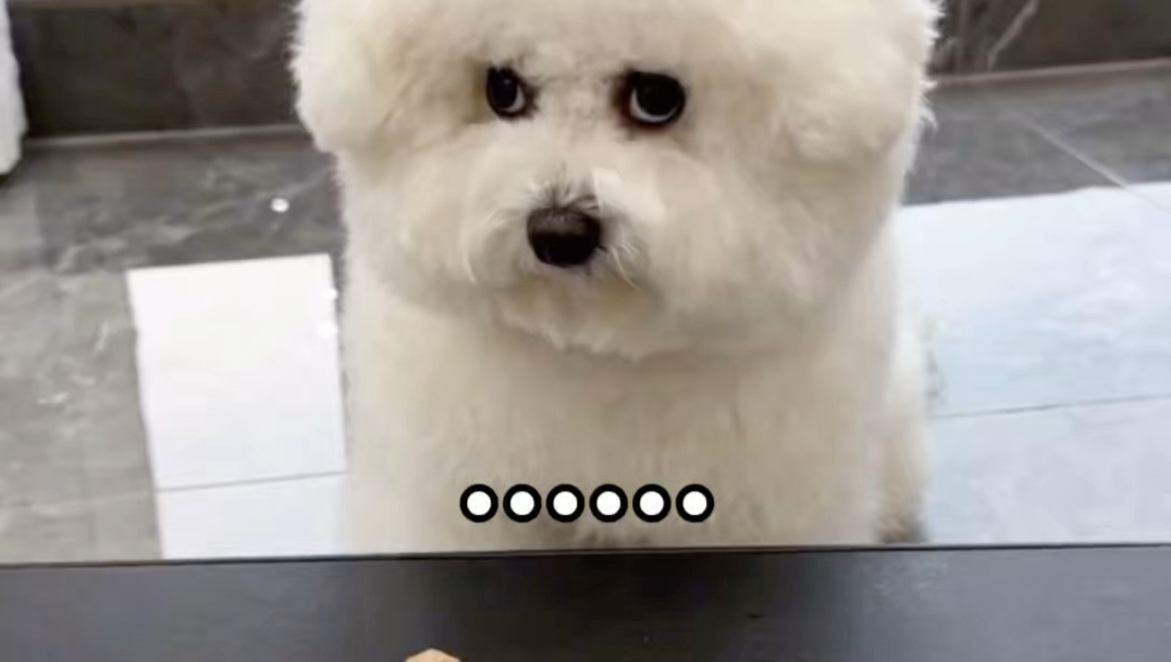 小狗：哼…我小斗要验牌