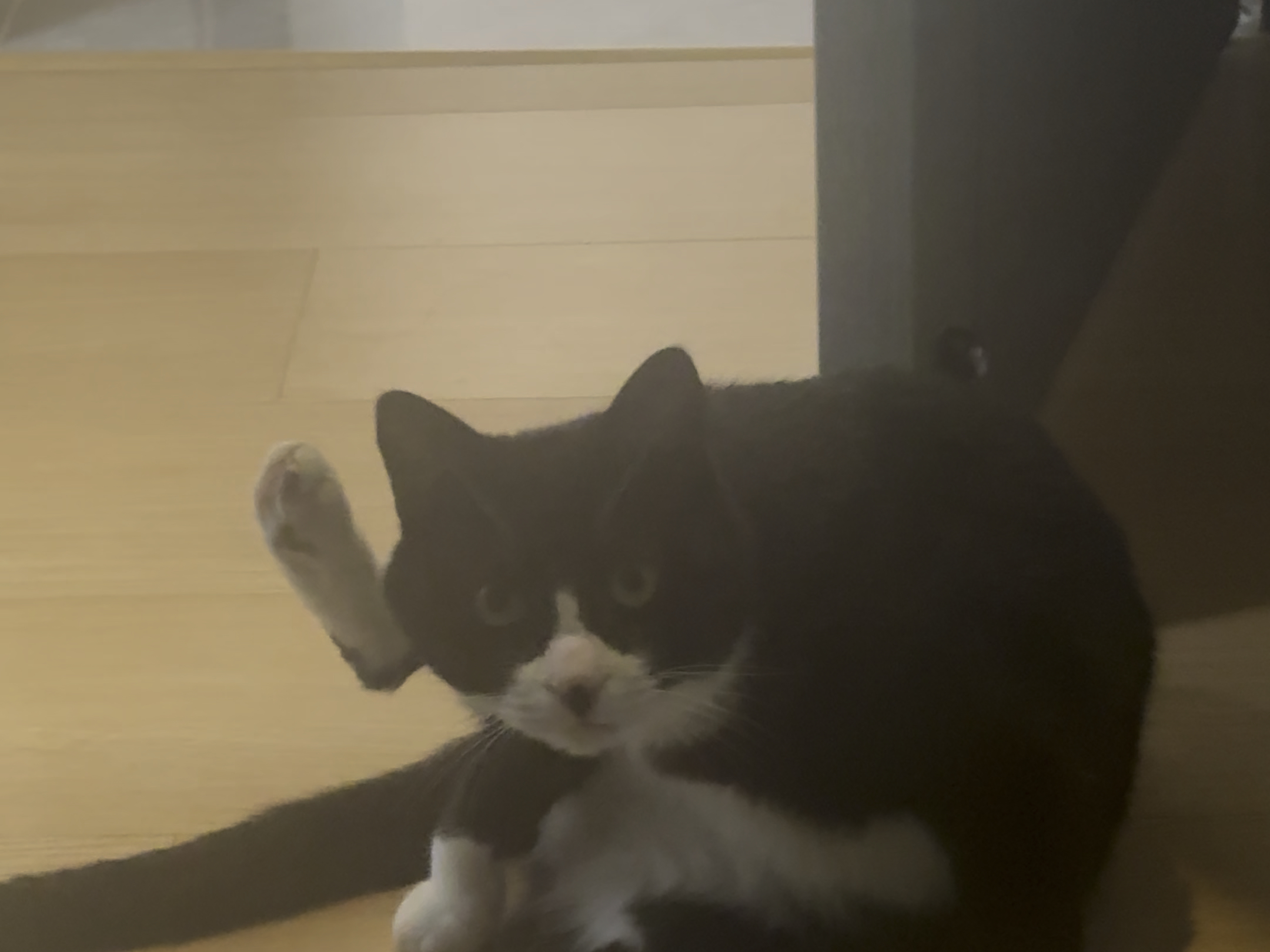 I can't take it anymore, this is too hilarious! I've gotta share it so everyone can have a good laugh too.