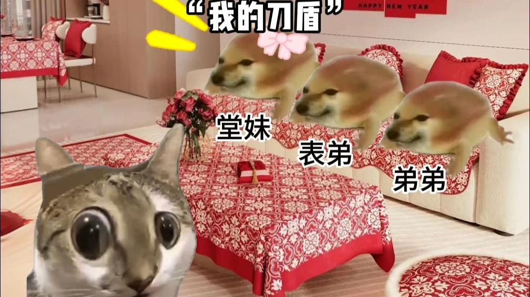 当我的刀盾被长辈听到