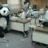 「万恶之源」还记得那个砸电脑抡键盘的熊猫吗,原来他在这里!（中文完整版）