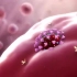 揭秘：一组医学动画告诉你，新型冠状病毒是如何攻击人体的？