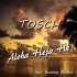 Aloha Heja He最好听的版本  没有之一  请用耳机或音响欣赏