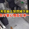 奶茶店天花板上突然掉下来一只猫，店员平复心情后又来一只，网友：第一集《猫王出世》第二集《猫王徒弟