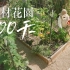 食材花园300天全记录，在自家后院实现蔬果花卉自由