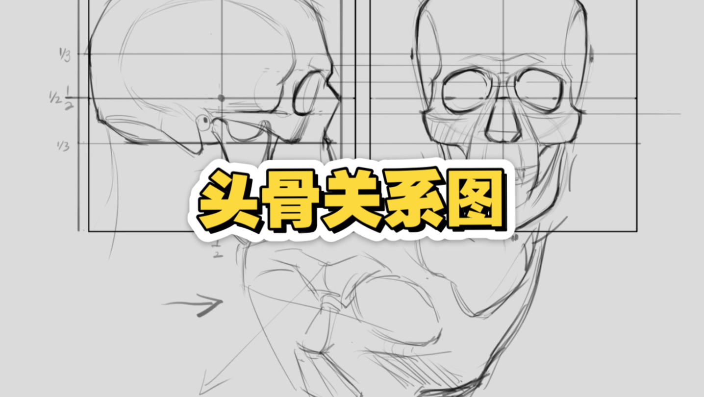 真正理解头部结构的方法：在脑中建立“坐标轴”，而不是死记形！