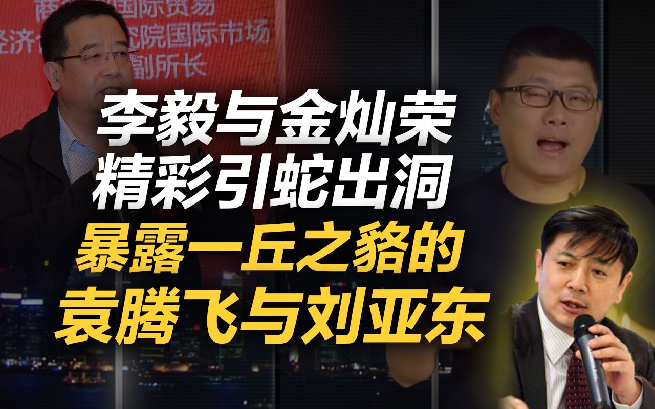 李肃：李毅与金灿荣精彩引蛇出洞，暴露一丘之貉的袁腾飞与刘亚东