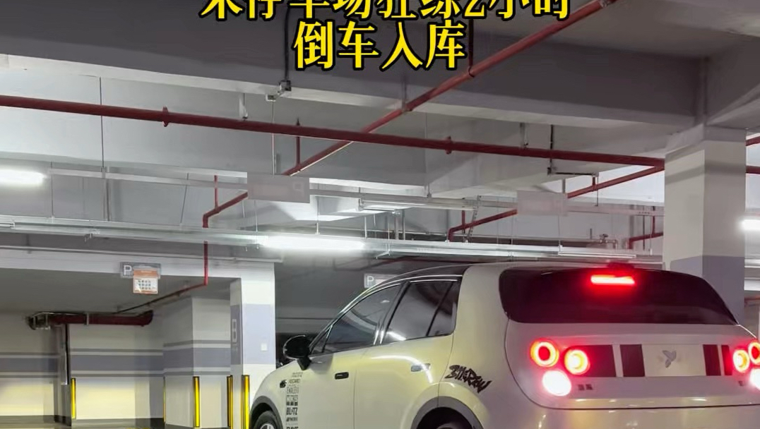 半夜偷偷练车，明天惊艳所有人#倒车入库#倒车入库技巧#女司机#万万没想到#firefly萤火虫