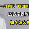 8年前，一刀刺死“校园霸凌者”的15岁学霸，如今怎么样了