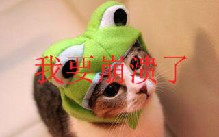 刺儿扎扎 - 搜索结果 - 哔哩哔哩弹幕视频网 - ( ゜