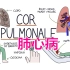 肺心病 | 了解肺源性心脏病 Understanding Cor Pulmonale【中英双字】【搬运自译】