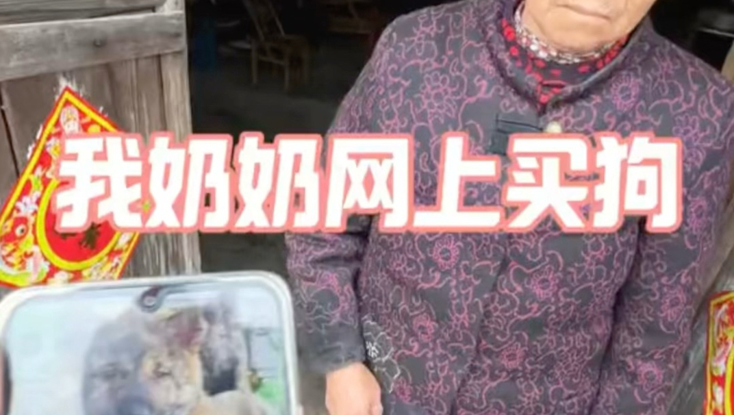 真的后悔教我奶奶网购