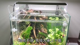3fc763d0d5de45e961ef6570ee1d9ffff357bafb.jpg@280w_158h_1c_100q.jpg