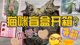 3fd333ba796a42713df17d4729c119b737dedffc.jpg@280w_158h_1c_100q.jpg
