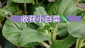3fdd98096e62abf0a6f03ad7c13a046cc507c171.jpg@280w_158h_1c_100q.jpg