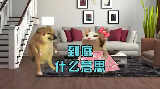 到底是什么意思？