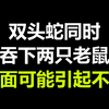 双头蛇同时吞下两只老鼠
