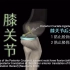 骨骼动画 肌肉解剖 膝关节