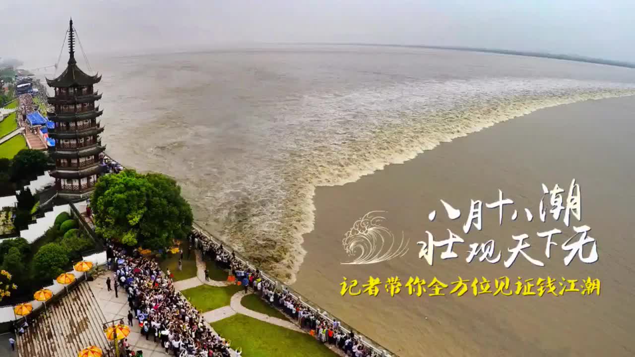 【2017八月十五钱塘江大潮】壮观天下无!全景观钱塘江大潮