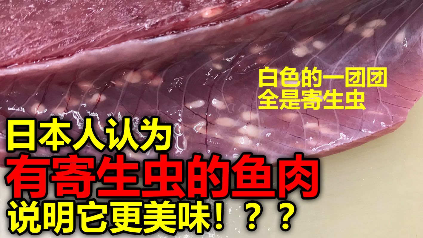 什么叫日本人认为有寄生虫的鱼肉说明它更美味！？？香港寿司店菜品惊现在蠕动的寄生虫！！！