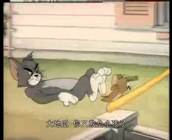 猫和老鼠(大地瓜与小不点版)36