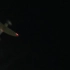 迷你KT小板机 喷火战斗机 夜间飞行