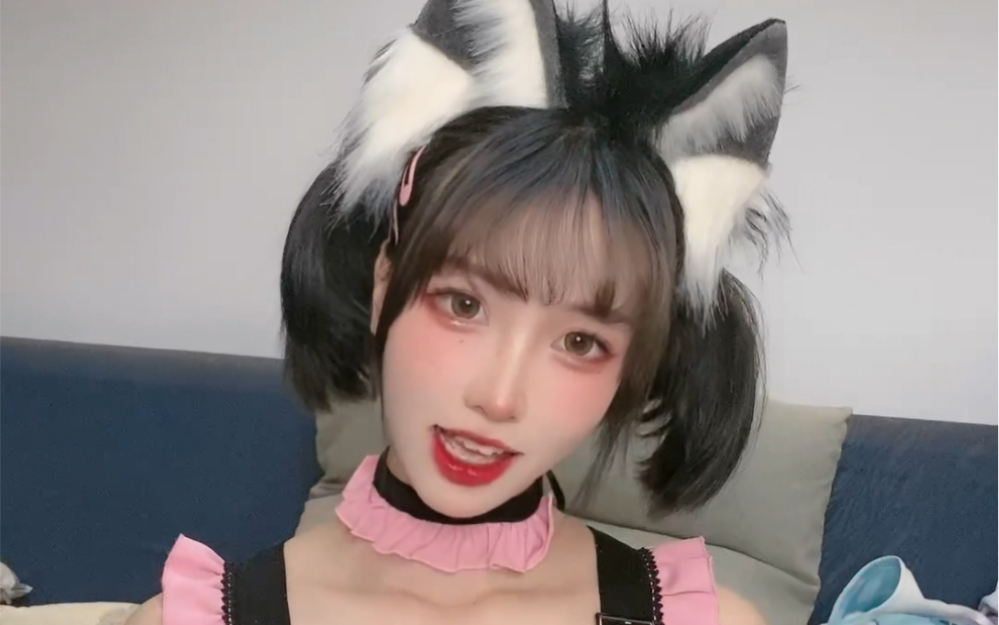 Kitten One Day Experience Card