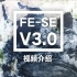 FE系统-标准版SE-V3.0讲解视频