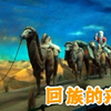 中国回族都来自哪个国家，主要分布在哪里