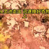12小时爽文三女主【小王心声】被宗门找回那天 我本想做个无人在意的小透明 却不料女主们竟能听到我的心声 啧啧啧，真不愧是女主 长得一张很好睡的脸