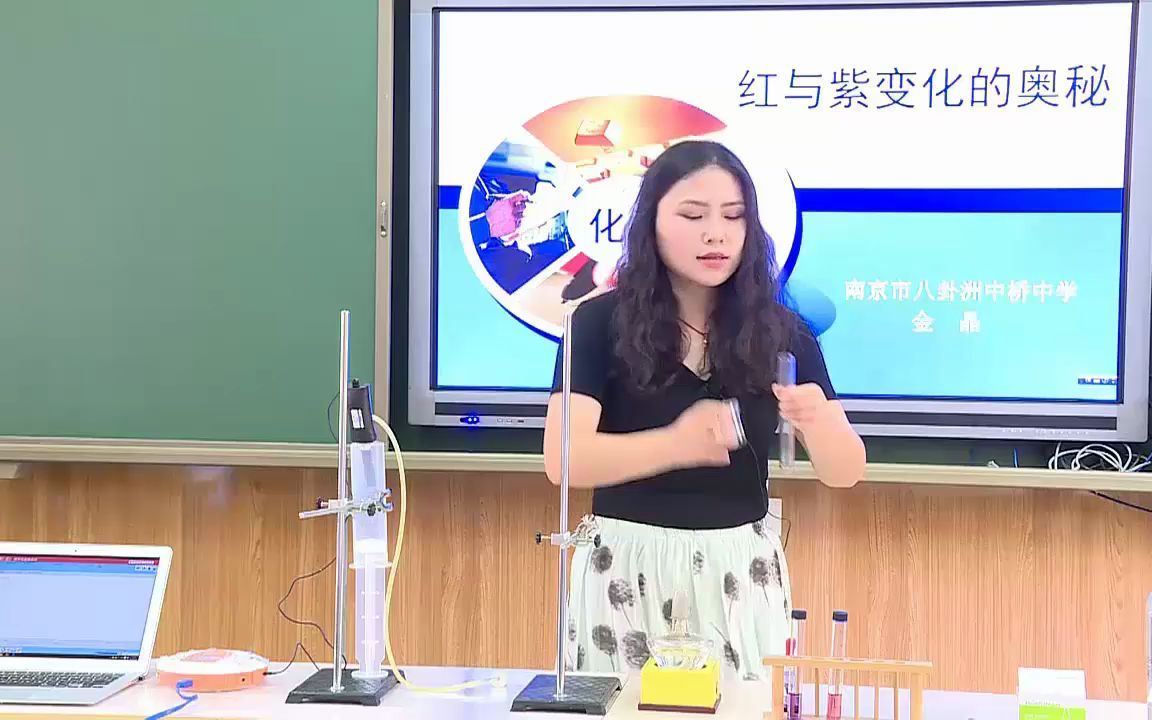 红与紫变化的奥秘--二氧化碳与碳酸的转化探究   教具 实验教学 课堂实录