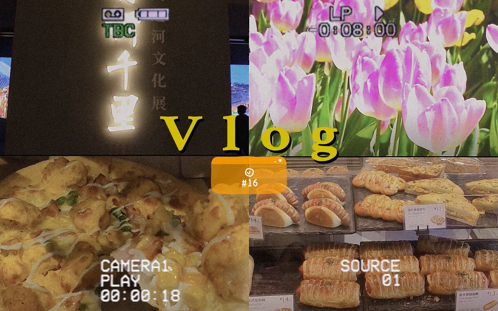 「流水混帐Vlog」016|郁金香|中山公园|国博看展|披萨|治愈|学习|生活|日常哔哩哔哩bilibili